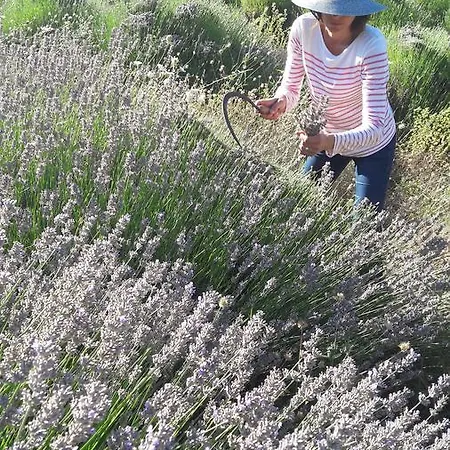 Central, Spacious, Great View *