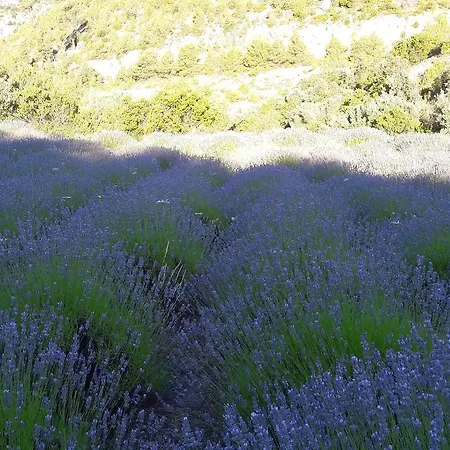 Central, Spacious, Great View *