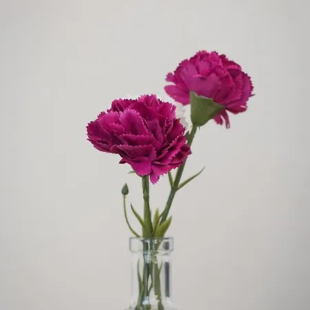 Central, Spacious, Great View Апартаменты