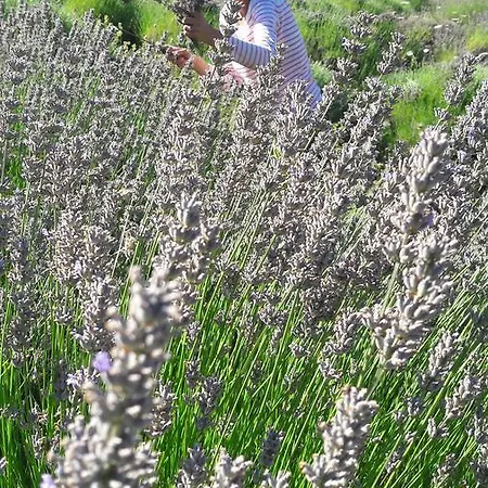 Central, Spacious, Great View شقة *