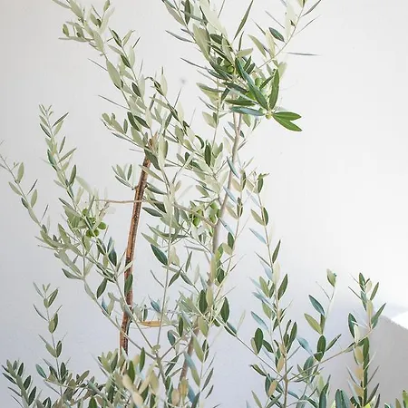 Central, Spacious, Great View Lägenhet Hvar Town