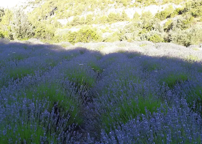 Central, Spacious, Great View *