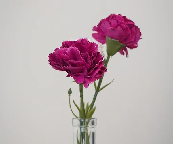 Central, Spacious, Great View Apartment