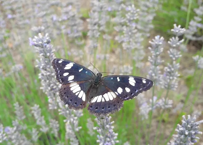 Apartment Central, Spacious, Great View