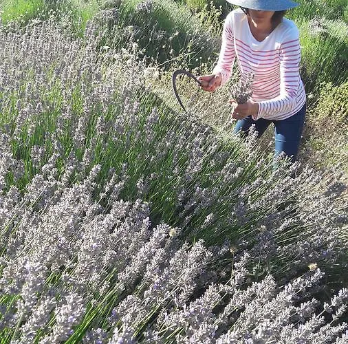 Central, Spacious, Great View *