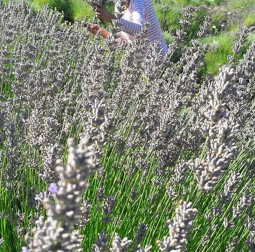 Central, Spacious, Great View Apartamento *