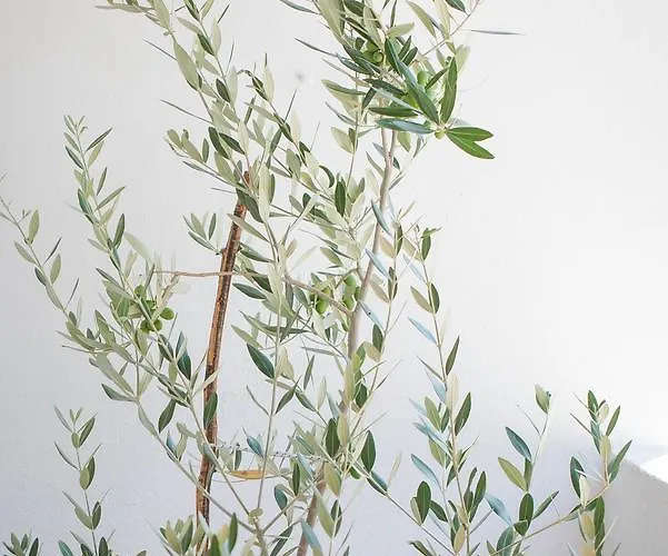 Central, Spacious, Great View Apartamento Hvar Town